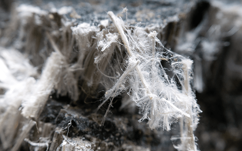 asbestos inspection campaign